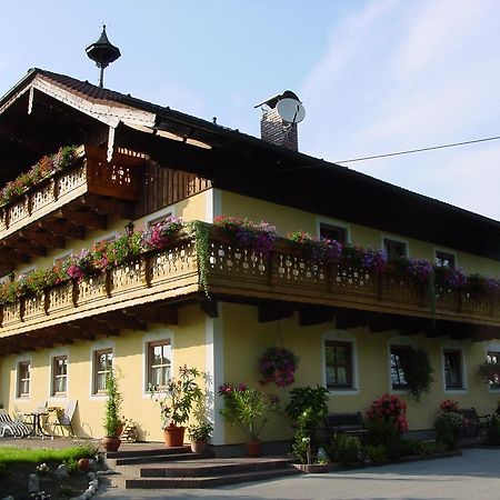Gaestehaus Steinerhof Salzburg Exterior photo